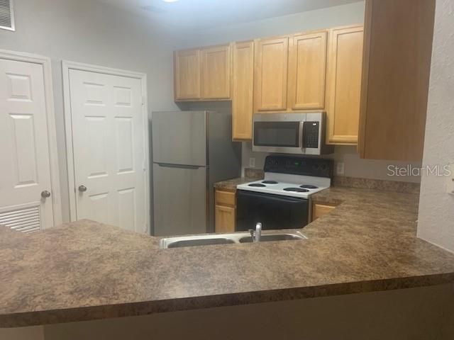 10025 COURTNEY PALMS BOULEVARD 204, Tampa, FL 33619