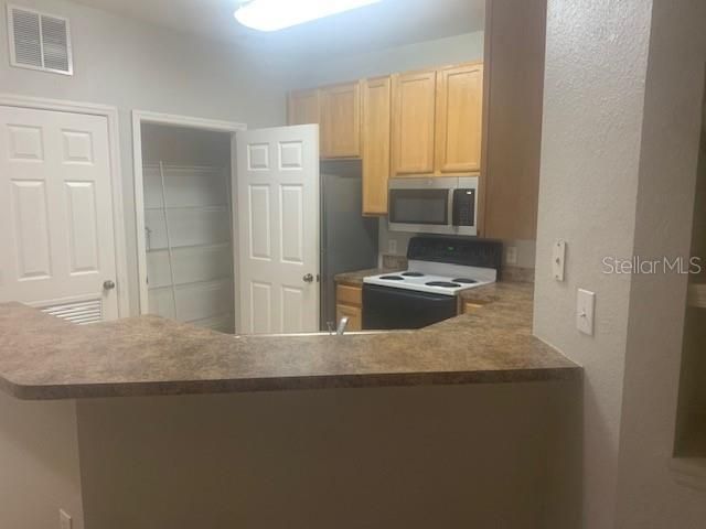 10025 COURTNEY PALMS BOULEVARD 204, Tampa, FL 33619