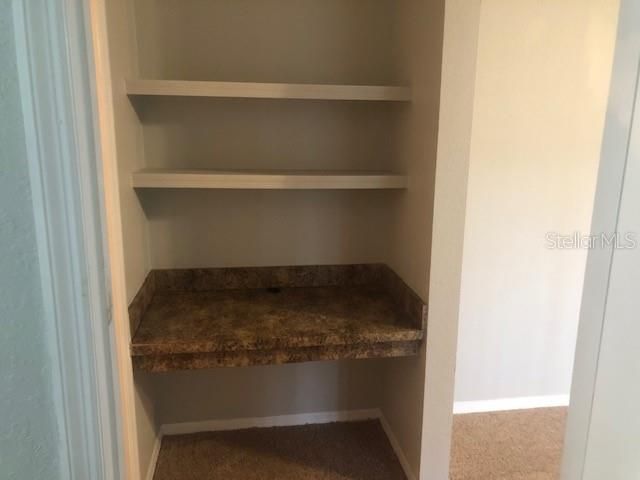 10025 COURTNEY PALMS BOULEVARD 204, Tampa, FL 33619