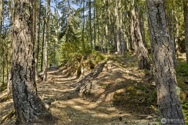 131 RR Spurs Road, Easton, WA 98925