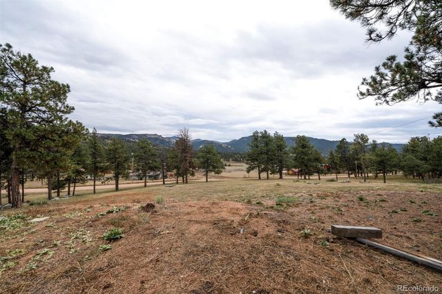 34 Fetlock, Florissant, CO 80816