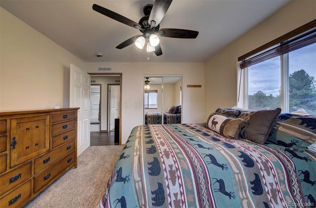 34 Fetlock, Florissant, CO 80816