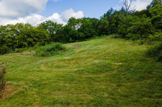 193 Dixon Ln, Pleasant Shade, TN 37145