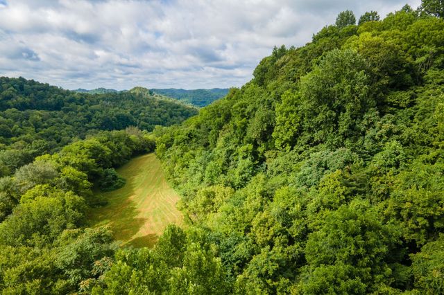 193 Dixon Ln, Pleasant Shade, TN 37145