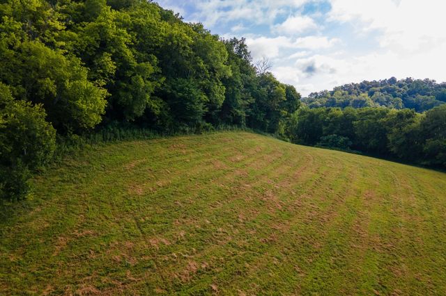 193 Dixon Ln, Pleasant Shade, TN 37145