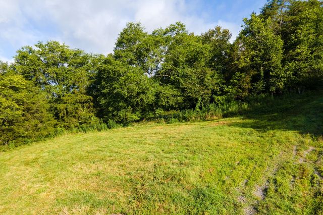 193 Dixon Ln, Pleasant Shade, TN 37145