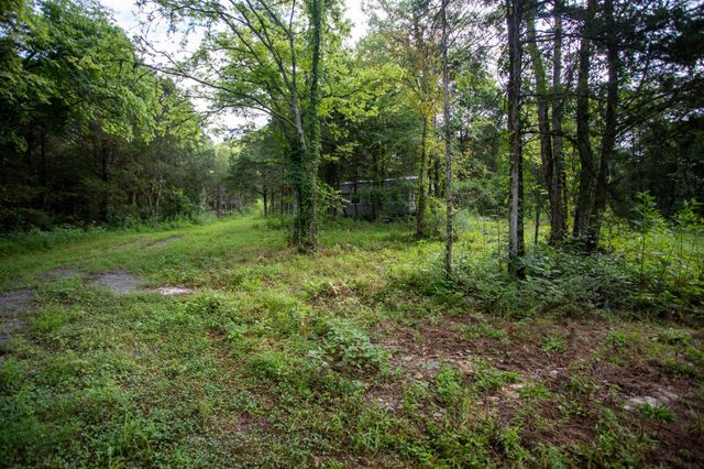 193 Dixon Ln, Pleasant Shade, TN 37145