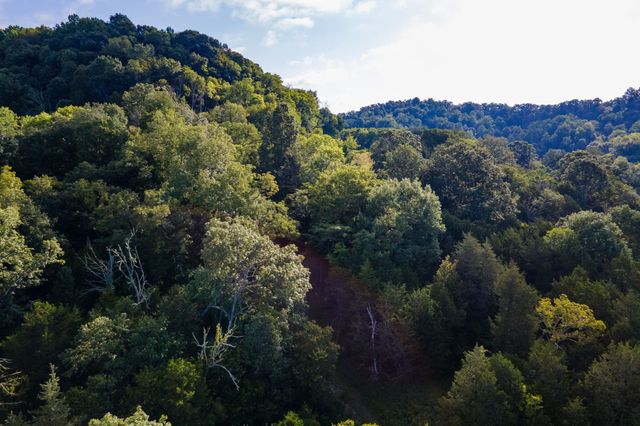 193 Dixon Ln, Pleasant Shade, TN 37145