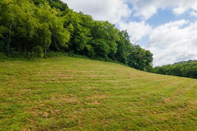 193 Dixon Ln, Pleasant Shade, TN 37145