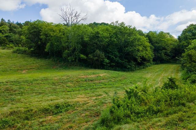 193 Dixon Ln, Pleasant Shade, TN 37145