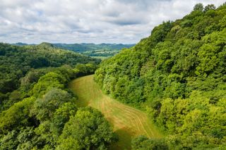 193 Dixon Ln, Pleasant Shade, TN 37145