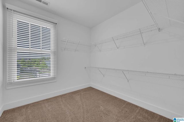 1960 JANEWAY PASS, Hoover, AL 35244
