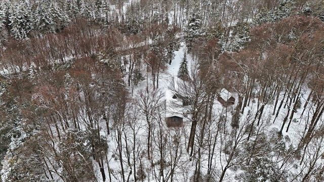 3185 Higley Hill Road, Marlboro, VT 05363