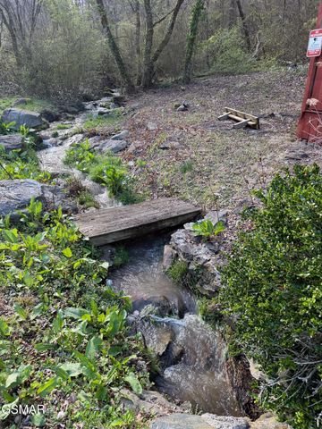 4351 Manis Hollow Road, Gatlinburg, TN 37738