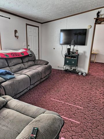 105 Mill Street, Green Camp, OH 43322