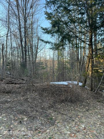 132 Wesskum Woods Road, Johnstown, NY 12078