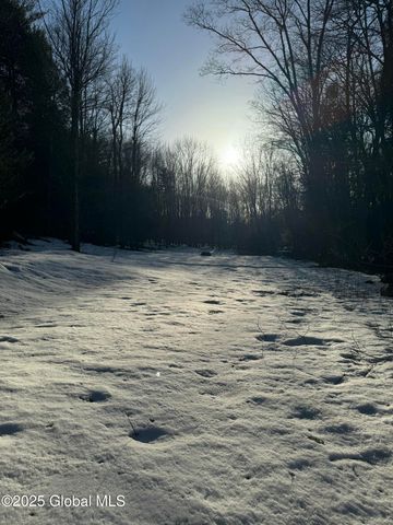 132 Wesskum Woods Road, Johnstown, NY 12078