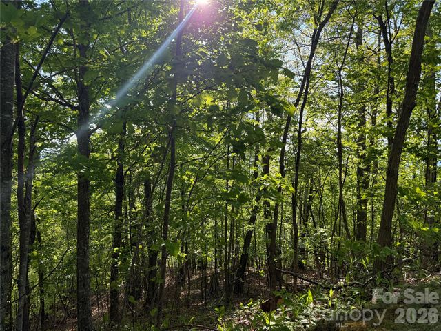 Lot 9 & 10 Andrew Banks Road, Burnsville, NC 28714