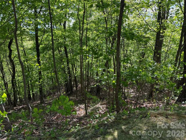 Lot 9 & 10 Andrew Banks Road, Burnsville, NC 28714