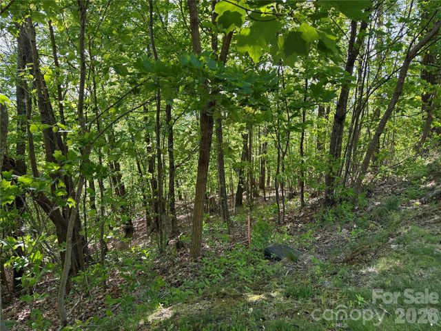 Lot 9 & 10 Andrew Banks Road, Burnsville, NC 28714