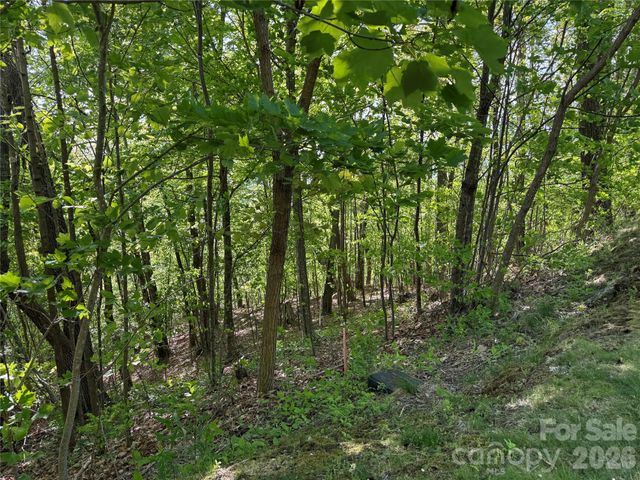 Lot 9 & 10 Andrew Banks Road, Burnsville, NC 28714