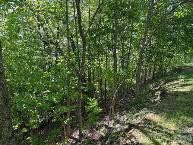 Lot 9 & 10 Andrew Banks Road, Burnsville, NC 28714