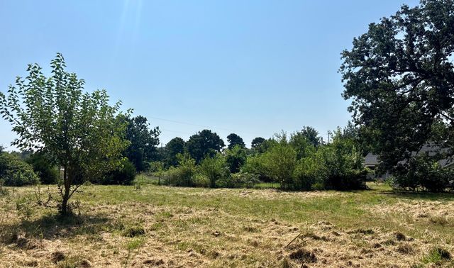 636 W Center Street, Rogersville, MO 65742