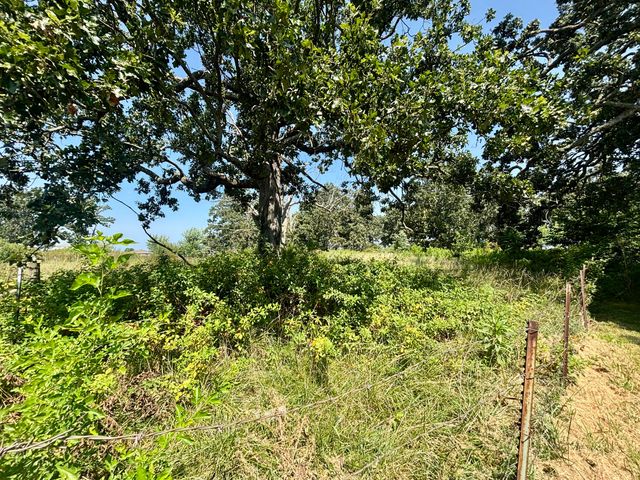 636 W Center Street, Rogersville, MO 65742