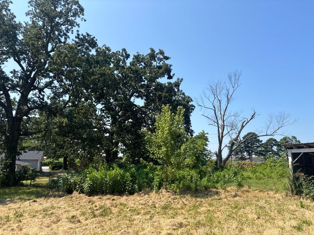 636 W Center Street, Rogersville, MO 65742