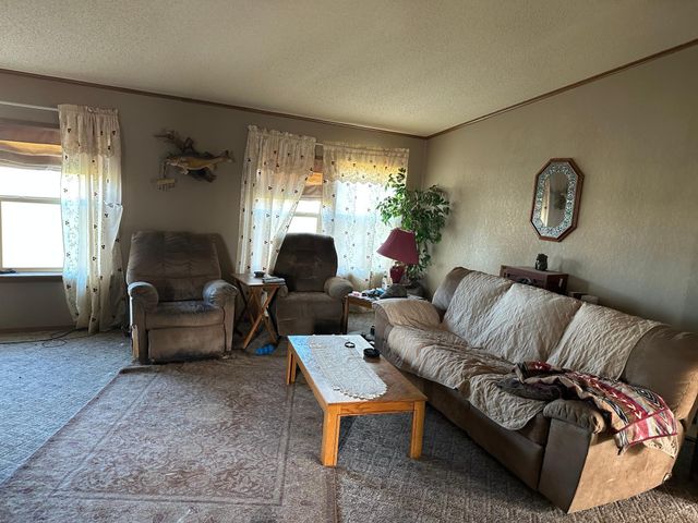 760 Falcon Street, Audubon, MN 56511