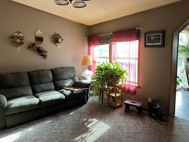 760 Falcon Street, Audubon, MN 56511