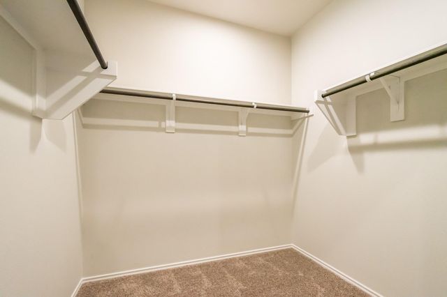 16856 Pink Wintergreen Drive, Conroe, TX 77385