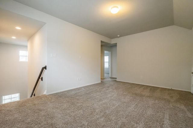 16856 Pink Wintergreen Drive, Conroe, TX 77385