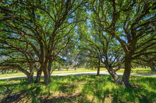 00 N Spanish Oak Trail # 255, Kerrville, TX 78028