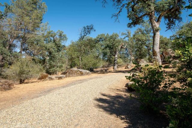 3619 Fig Tree Spring, Mariposa, CA 95338