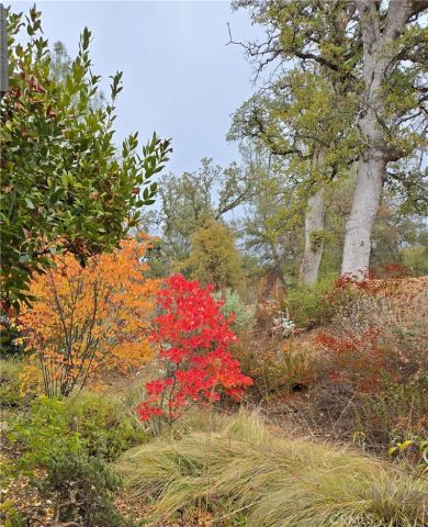 3619 Fig Tree Spring, Mariposa, CA 95338