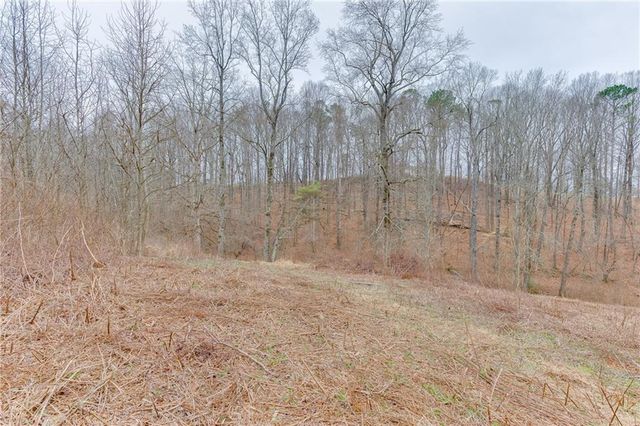 0 Hendrix Road, Cumming, GA 30040
