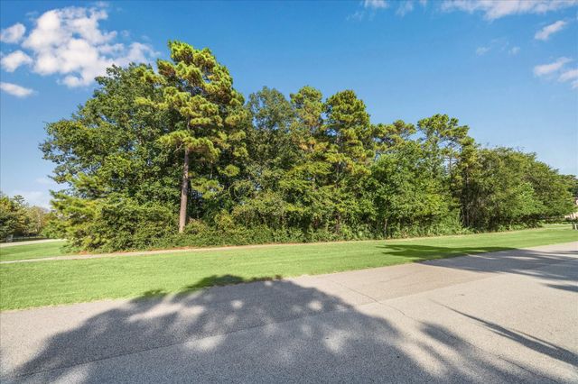 4502 Siandra Creek Court, Spring, TX 77386