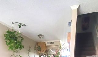 3243 Nacogdoches Rd Apt 910, San Antonio, TX 78217
