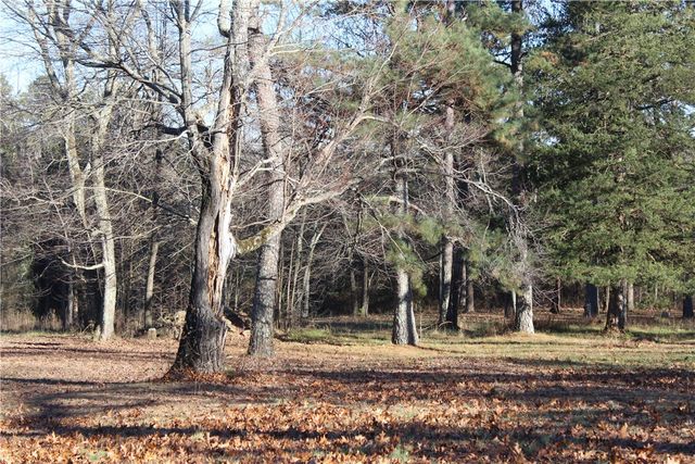 512 Pr 4474, Ozone, AR 72854