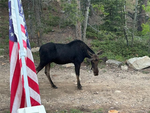126 Signal Rock Road, Golden, CO 80403