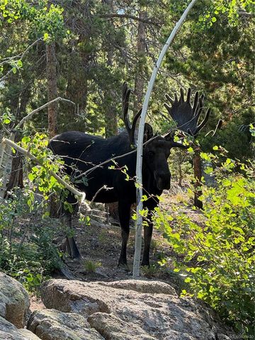 126 Signal Rock Road, Golden, CO 80403