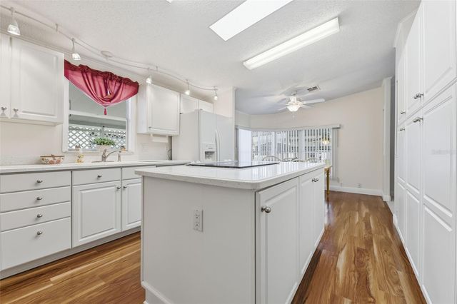 243 DOUGLAS PARK AVENUE, Davenport, FL 33897