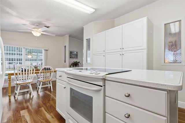 243 DOUGLAS PARK AVENUE, Davenport, FL 33897