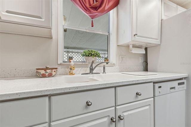 243 DOUGLAS PARK AVENUE, Davenport, FL 33897