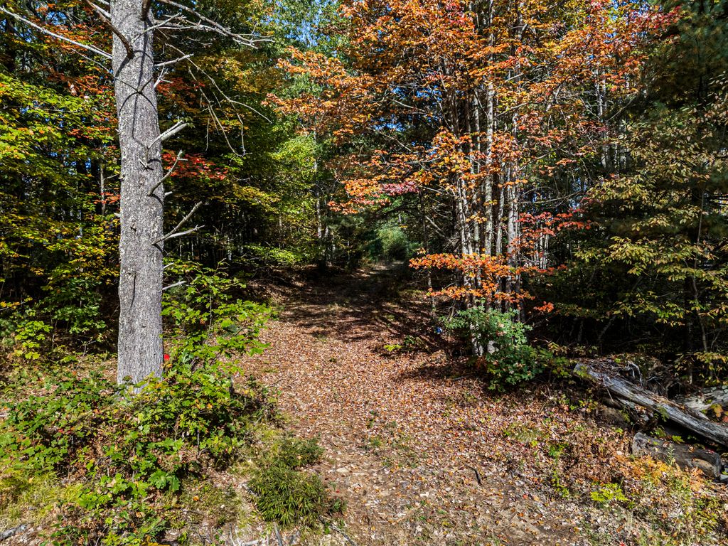 86 Moose Bog Lane, Wells, ME 04090 — photo 3