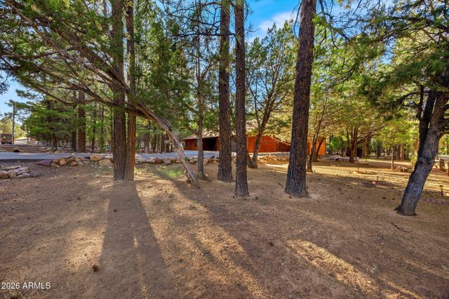 2202 FOREST PARK Drive, Overgaard, AZ 85933