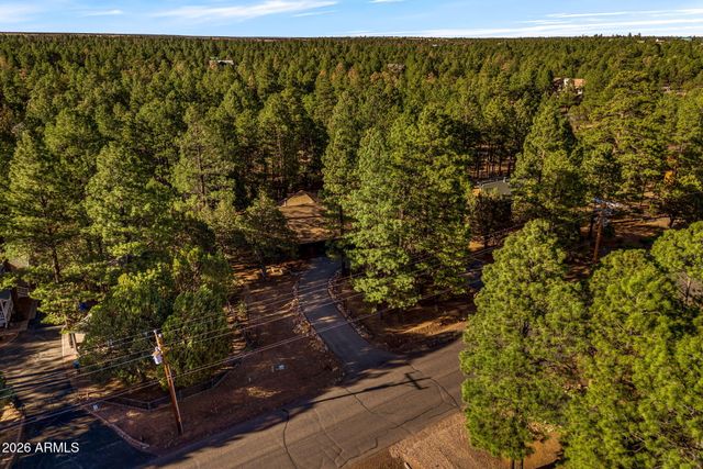 2202 FOREST PARK Drive, Overgaard, AZ 85933