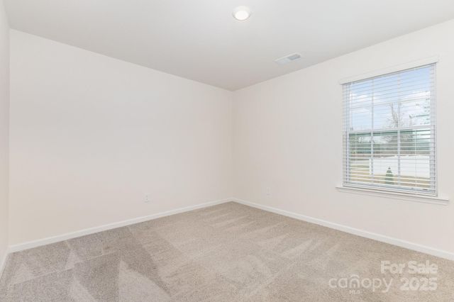 4019 Eucalyptus Drive, York, SC 29745