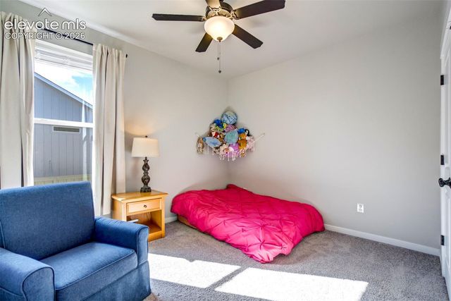 8318 Sam Bass Drive, Colorado Springs, CO 80908